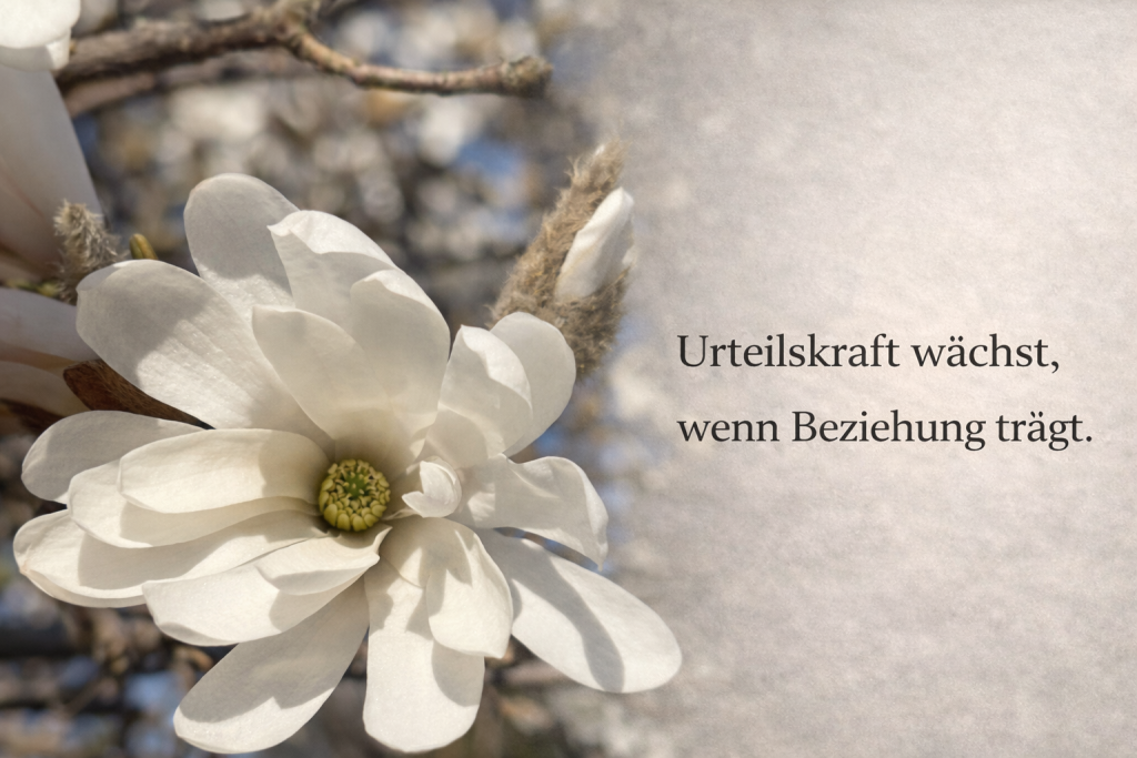 Weiße Magnolienblüte im warmen Licht, die behutsames Wachstum und die tragende Kraft von Beziehung symbolisiert.